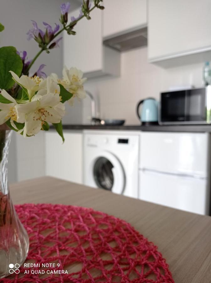 Stop Apartment Suwałki エクステリア 写真